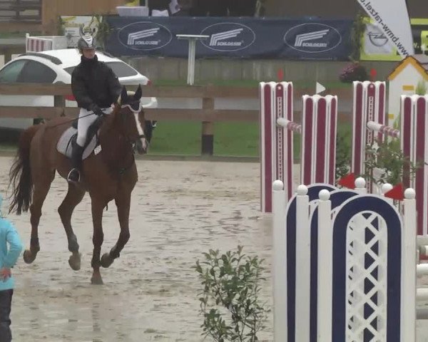 Springturnier Hubertushof RSG Linkenheim-Hochstetten 2013