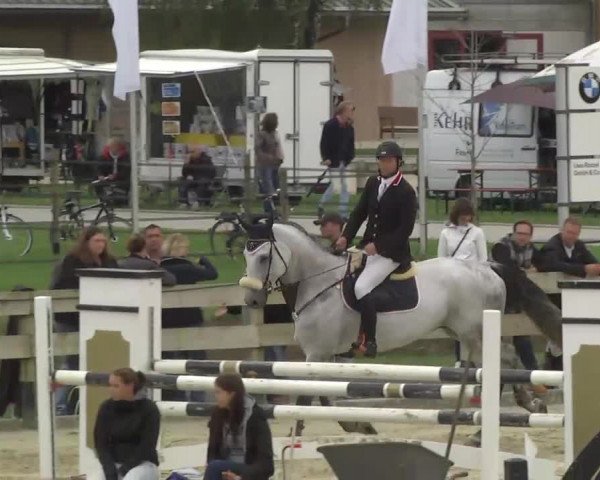 Reitturnier Linkenheim-Hochstetten 2013