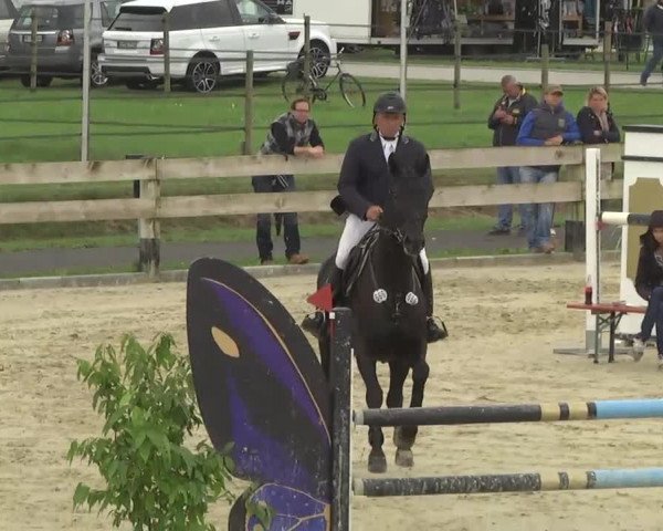 Reitturnier Linkenheim-Hochstetten 2013
