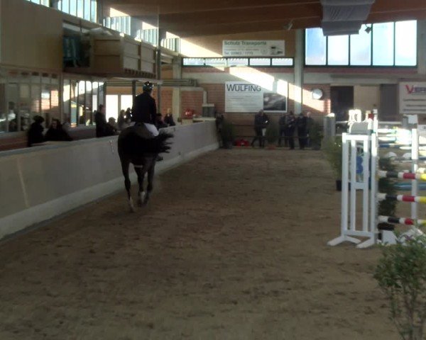 Reitturnier Heiden 2025