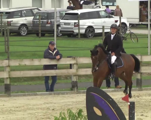 Reitturnier Linkenheim-Hochstetten 2013