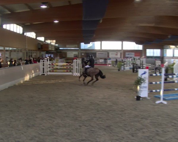 Reitturnier Heiden 2025