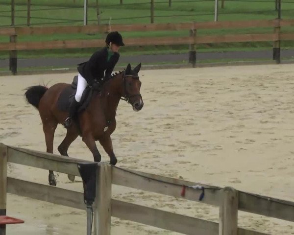 Springturnier Hubertushof RSG Linkenheim-Hochstetten 2013