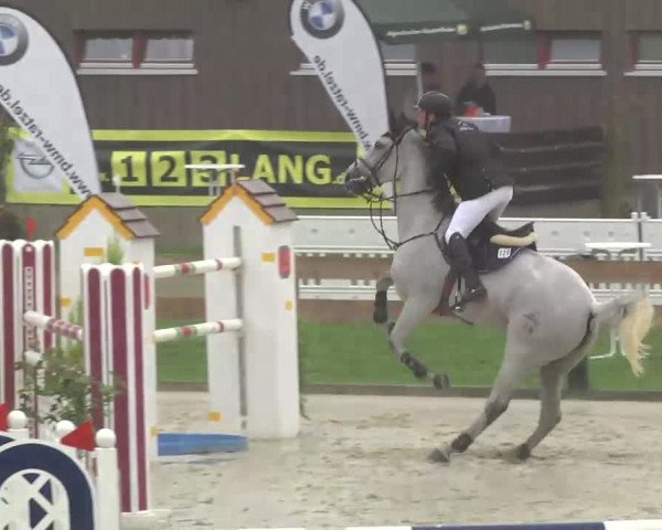 Springturnier Hubertushof RSG Linkenheim-Hochstetten 2013