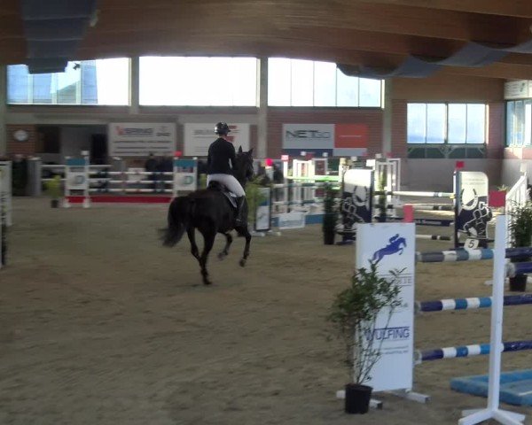 Reitturnier Heiden 2025