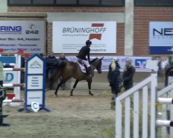 Reitturnier Heiden 2025