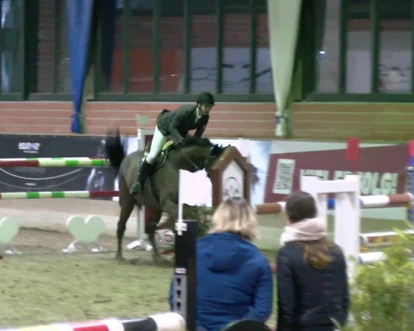 Reitturnier Heiden 2025