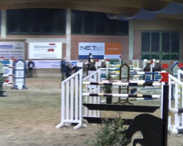 Reitturnier Heiden 2025