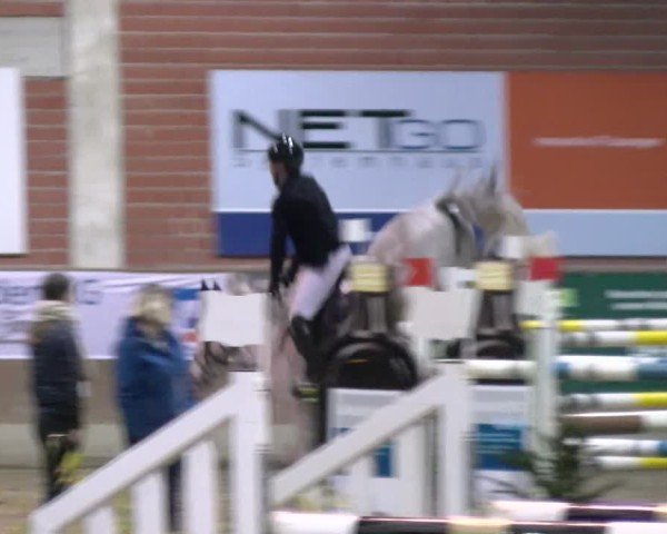Reitturnier Heiden 2025