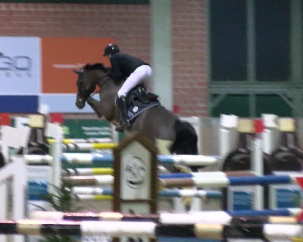 Reitturnier Heiden 2025