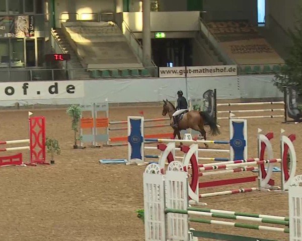 Reitturnier Kreuth/Opf. 2025