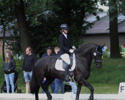 Dressurpferd Pretty Priska (unbekannt, 2011)