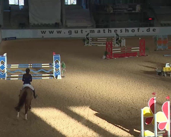 Reitturnier Kreuth/Opf. 2025