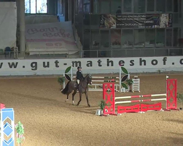 Reitturnier Kreuth/Opf. 2025