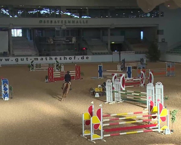 Reitturnier Kreuth/Opf. 2025