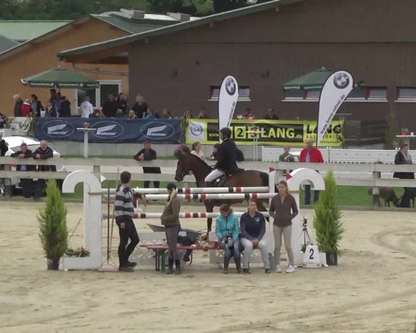 Reitturnier Linkenheim-Hochstetten 2013