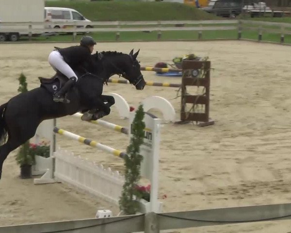 Springturnier Hubertushof RSG Linkenheim-Hochstetten 2013