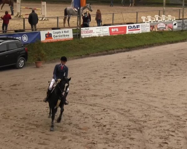 Großes Springturnier Siegener Reitverein 2013