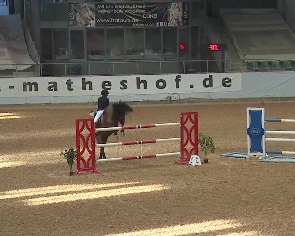 Reitturnier Kreuth/Opf. 2025