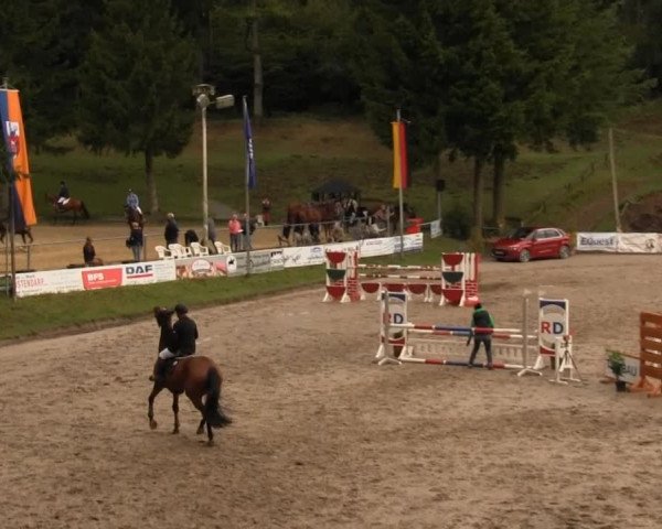 Großes Springturnier Siegener Reitverein 2013