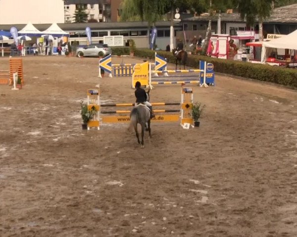 Großes Springturnier Siegener Reitverein 2013