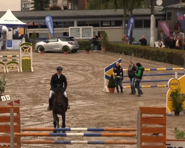 Großes Springturnier Siegener Reitverein 2013