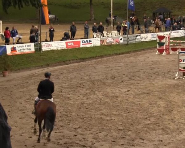 Großes Springturnier Siegener Reitverein 2013