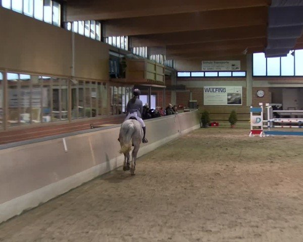 Reitturnier Heiden 2025