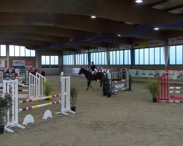Reitturnier Heiden 2025