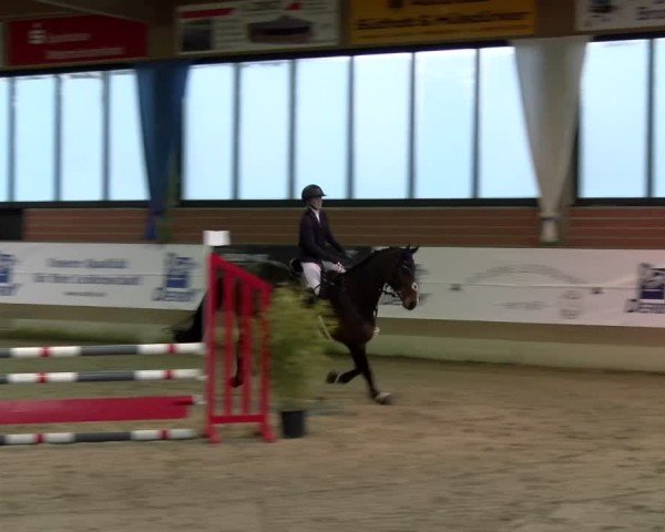 Reitturnier Heiden 2025