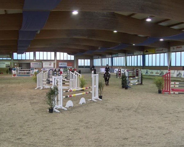 Reitturnier Heiden 2025