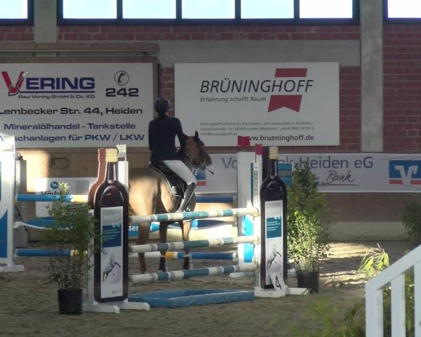 Reitturnier Heiden 2025