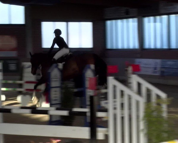 Reitturnier Heiden 2025