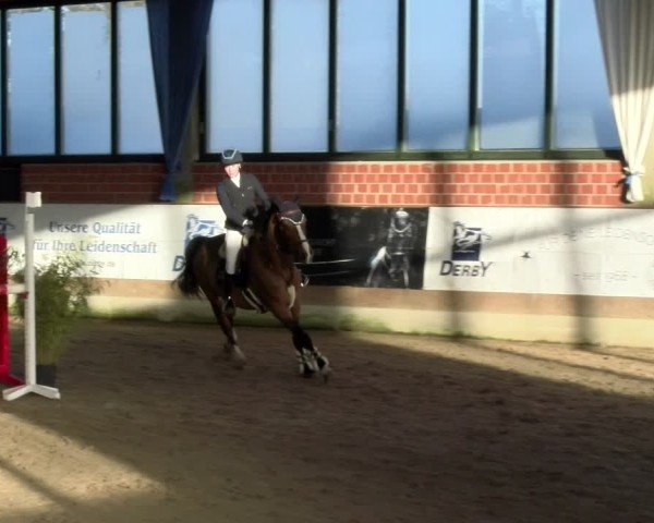Reitturnier Heiden 2025