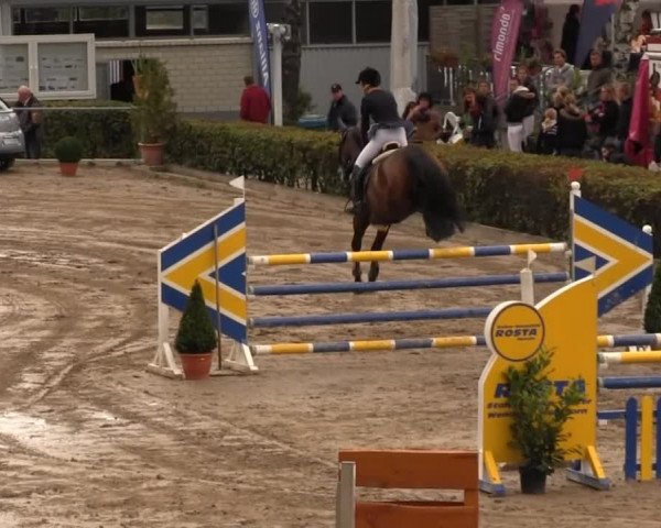 Großes Springturnier Siegener Reitverein 2013