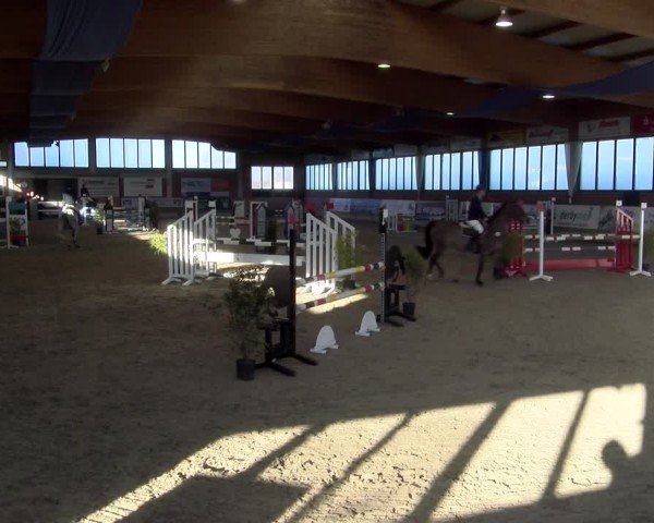 Reitturnier Heiden 2025