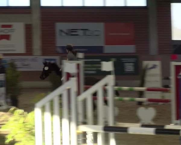 Reitturnier Heiden 2025