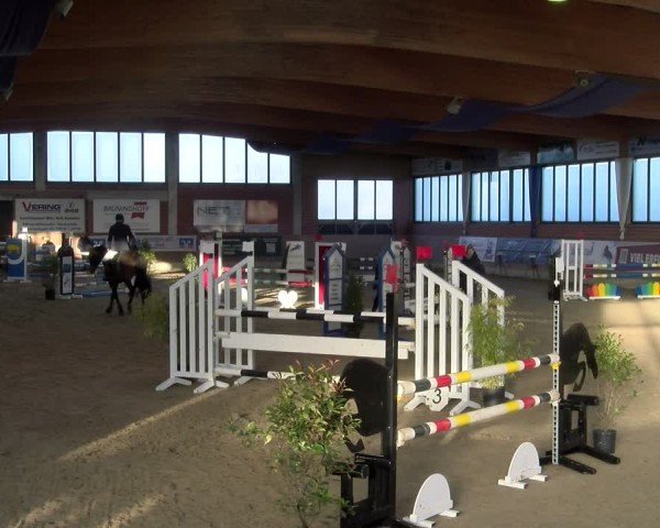 Reitturnier Heiden 2025