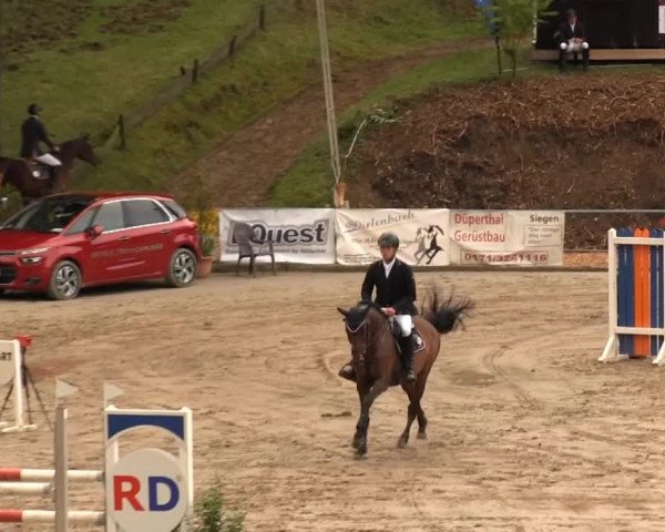 Großes Springturnier Siegener Reitverein 2013