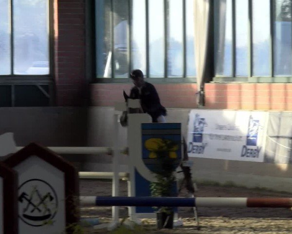 Reitturnier Heiden 2025