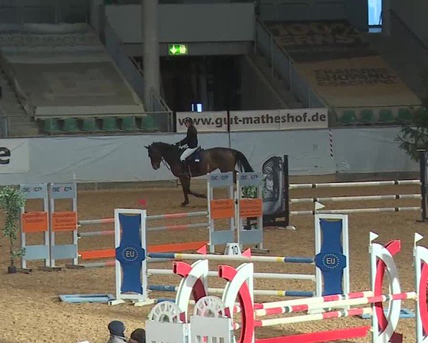 Reitturnier Kreuth/Opf. 2025