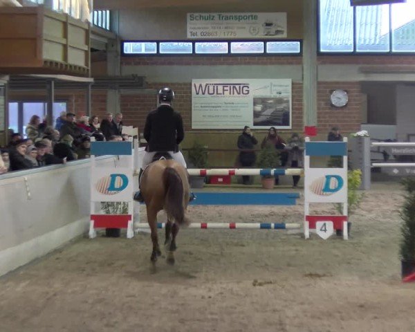 Reitturnier Heiden 2025