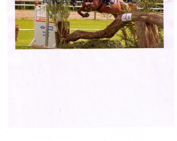 Cavallo da salto Chriwen (Mecklenburger, 2009, di Carlo 300) Cavallo da salto Chriwen (Mecklenburger, 2009, di Carlo 300)