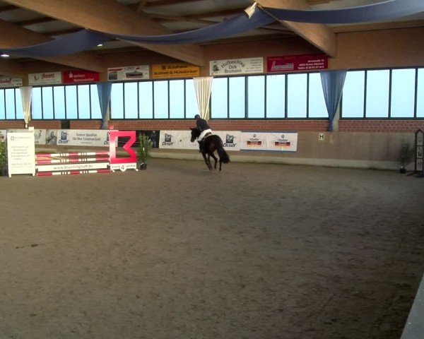 Reitturnier Heiden 2025