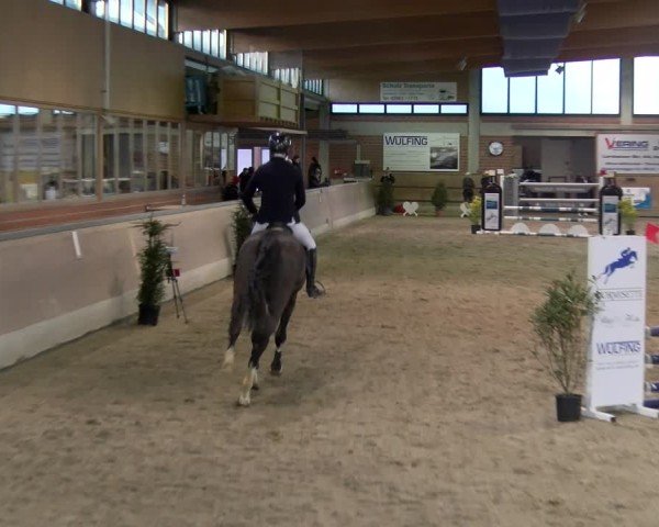Reitturnier Heiden 2025