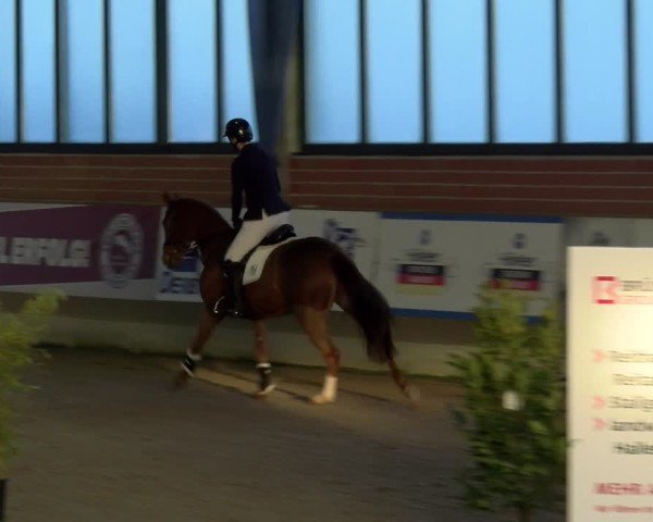 Reitturnier Heiden 2025