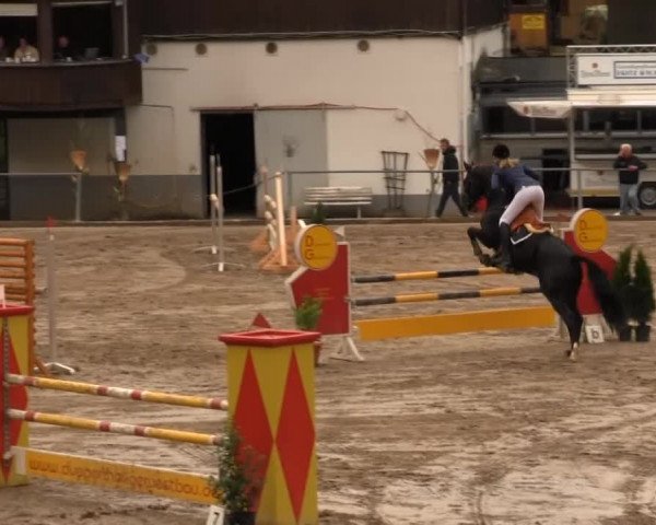 Großes Springturnier Siegener Reitverein 2013