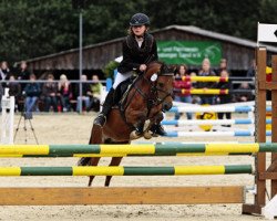 horse Flöckchen 61 (unknown, 2006)