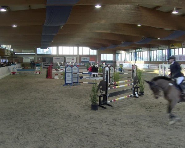 Reitturnier Heiden 2025