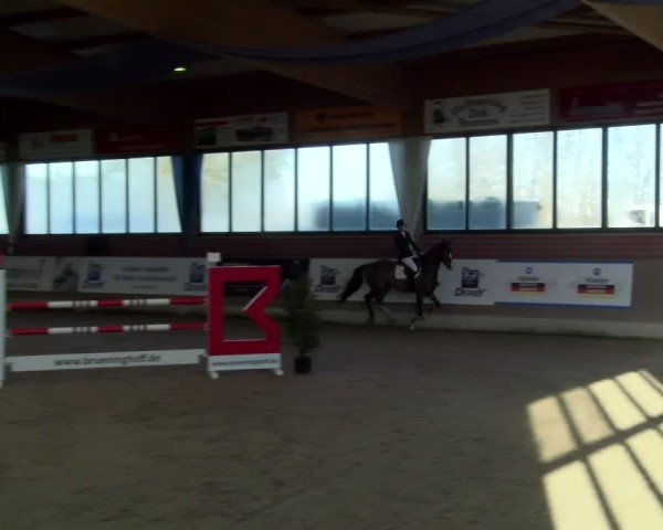 Reitturnier Heiden 2025